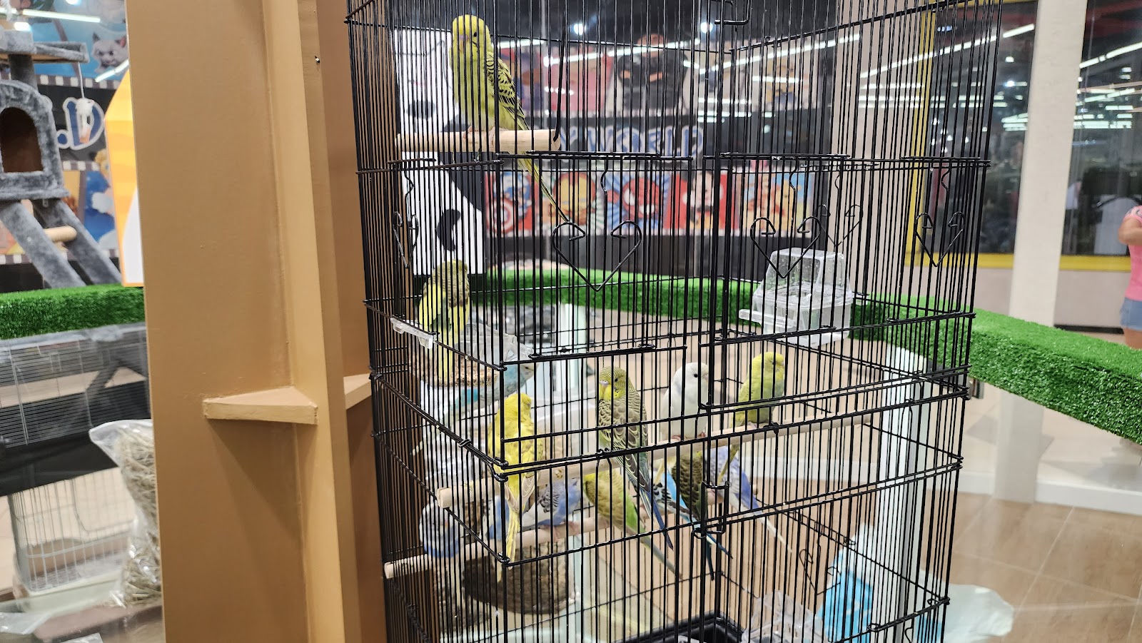 Pets Naturale Starling Mall 4